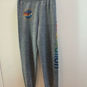 Gray Aviator Nation sweatpants. Size 14.